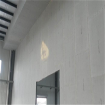 海原宁波ALC板|EPS加气板隔墙与混凝土整浇联接的实验研讨